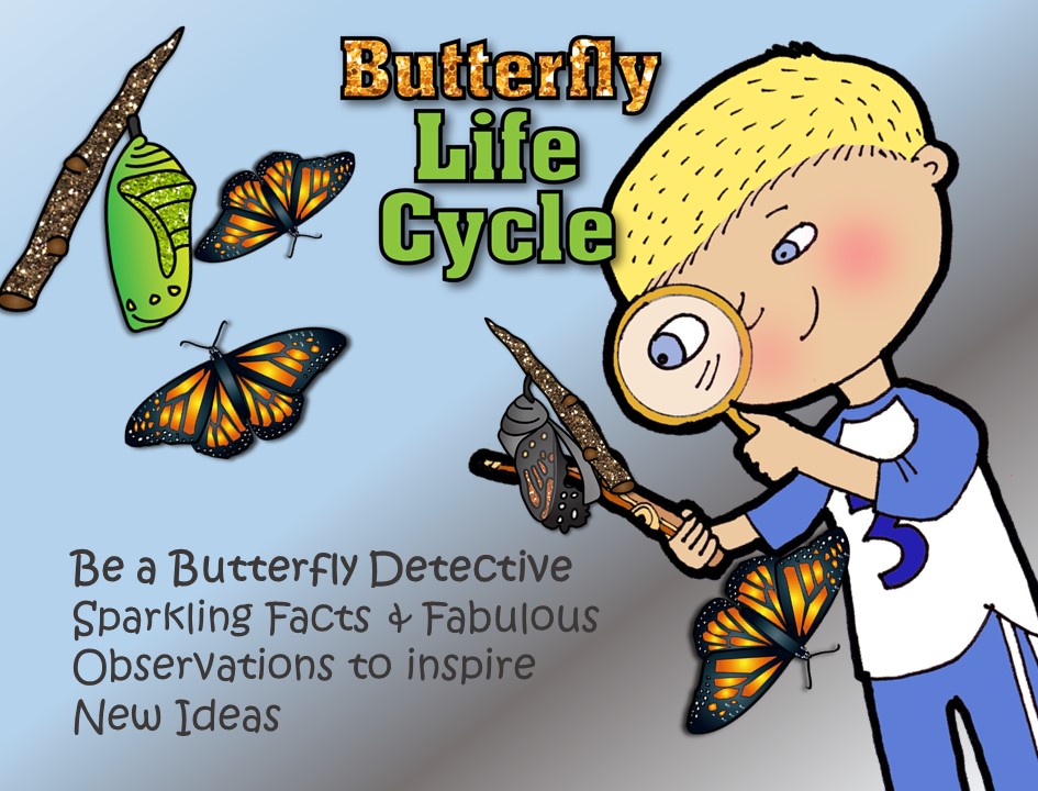 Be a Butterfly Detective - Life Cycle and Inspiration for Ideas