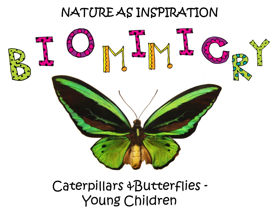 STEM - Biomimicry for Young Children - Caterpillars and Butterflies