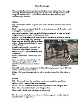 Horse Terminology Activities