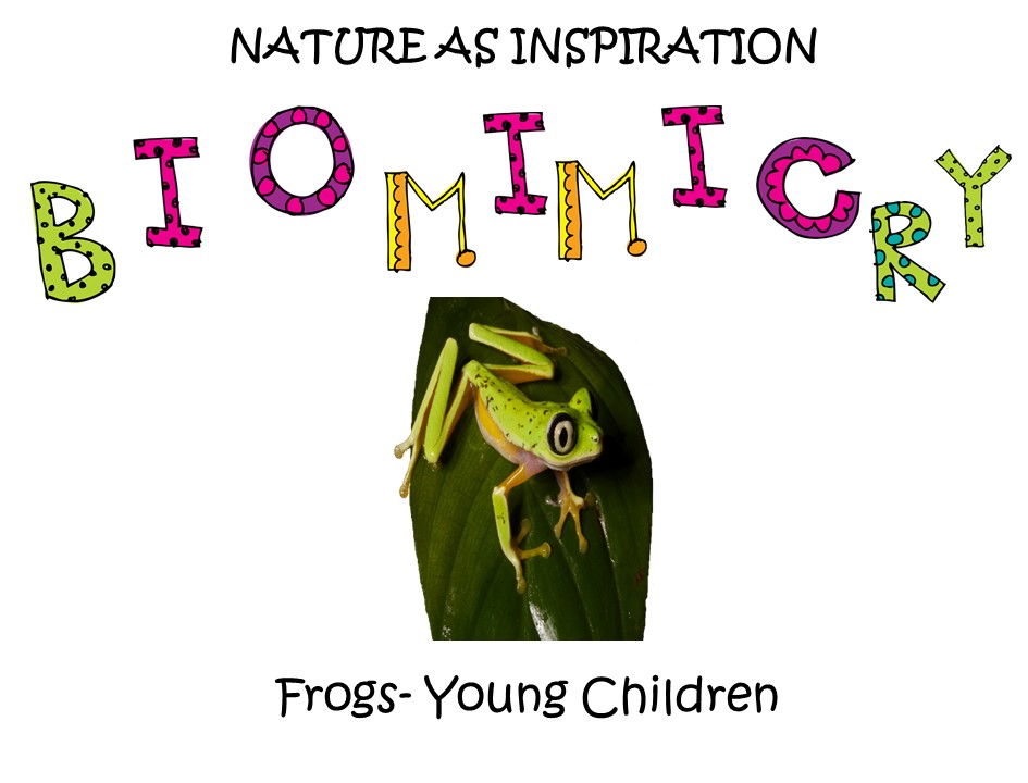 STEM - Biomimicry For Young Children - Frogs