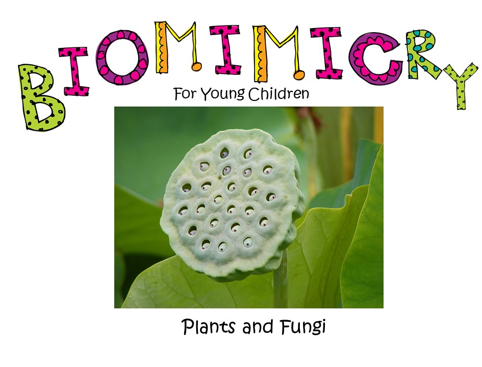 STEM - Biomimicry - Plants and Fungi for Young Children