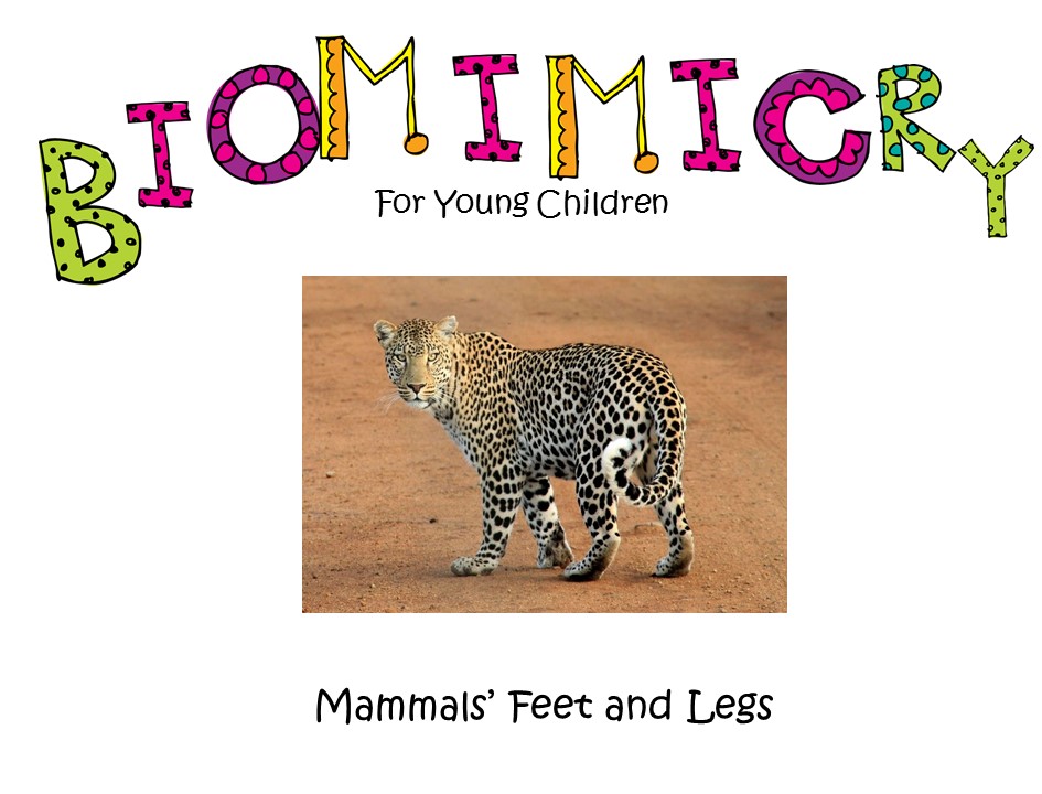 STEM - Biomimicry for Young Children - Mammals' Feet and Legs
