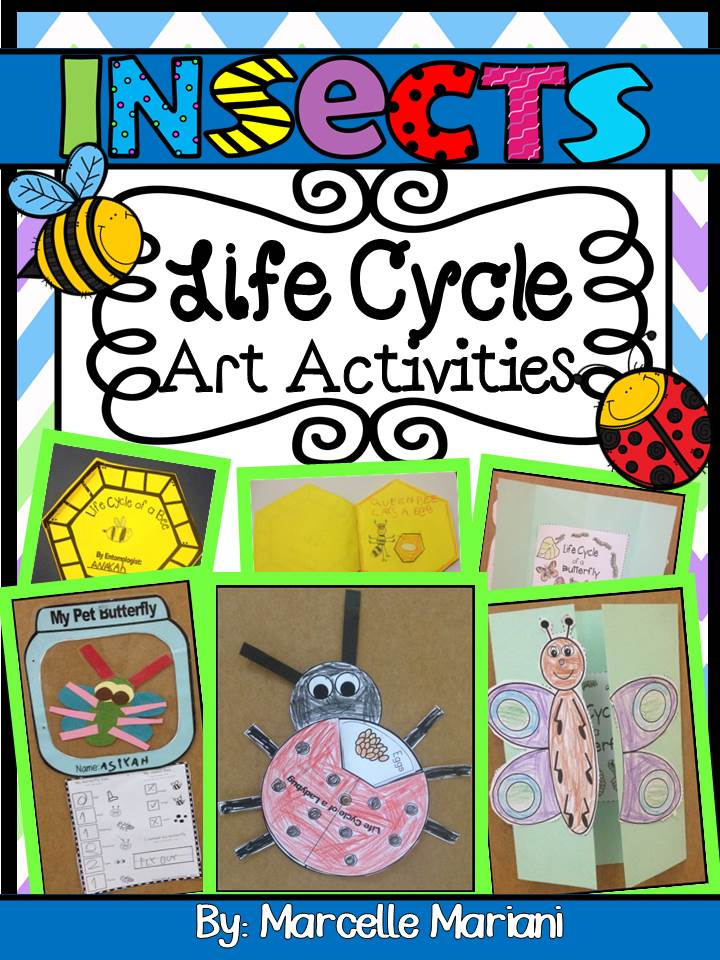 INSECTS-LIFE CYCLE ART ACTIVITIES: Butterfly, Bee, Ladybug/Ladybird