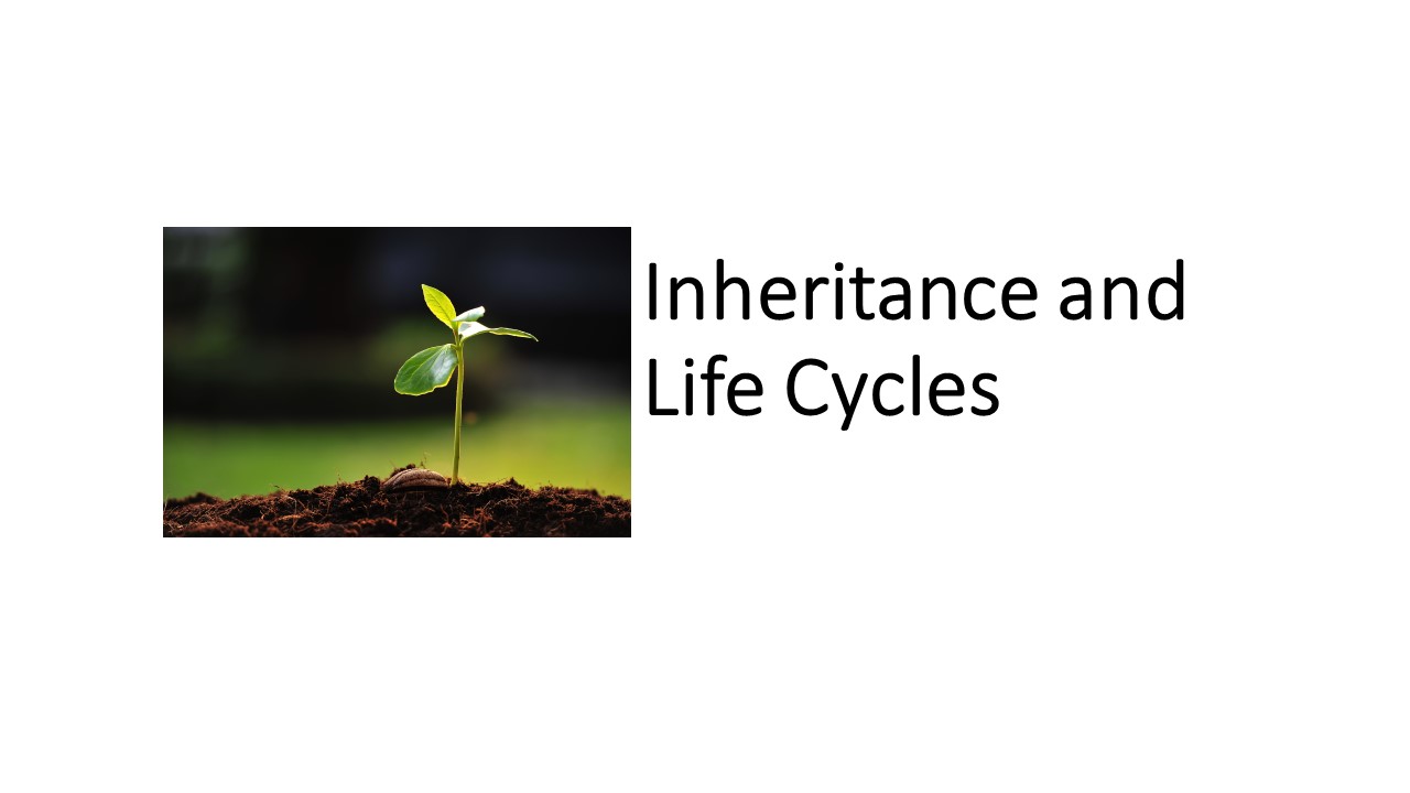 Inheritance and Life Cycles (Next Generation Science Standards)