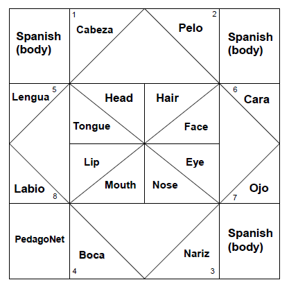 Spanish Vocabulary Fortune Teller