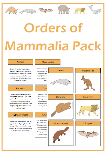 Orders of Mammalia