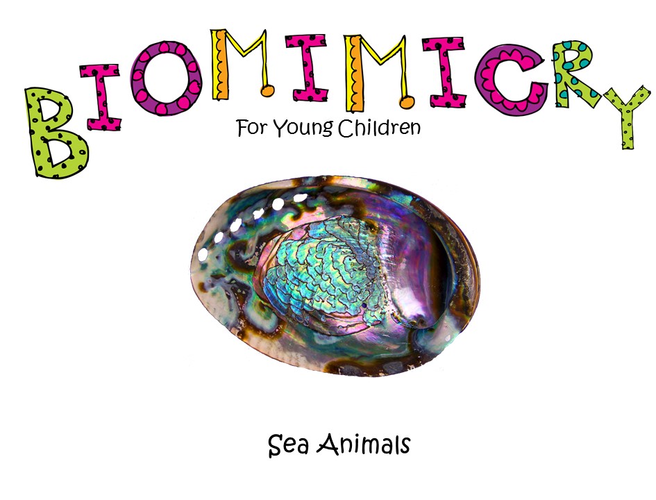 STEM - Biomimicry for Young Children - Sea Life