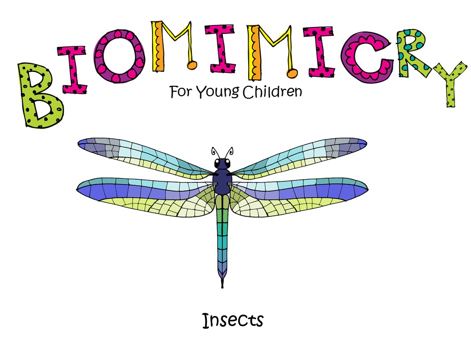 STEM - Biomimicry for Young Children - Insects