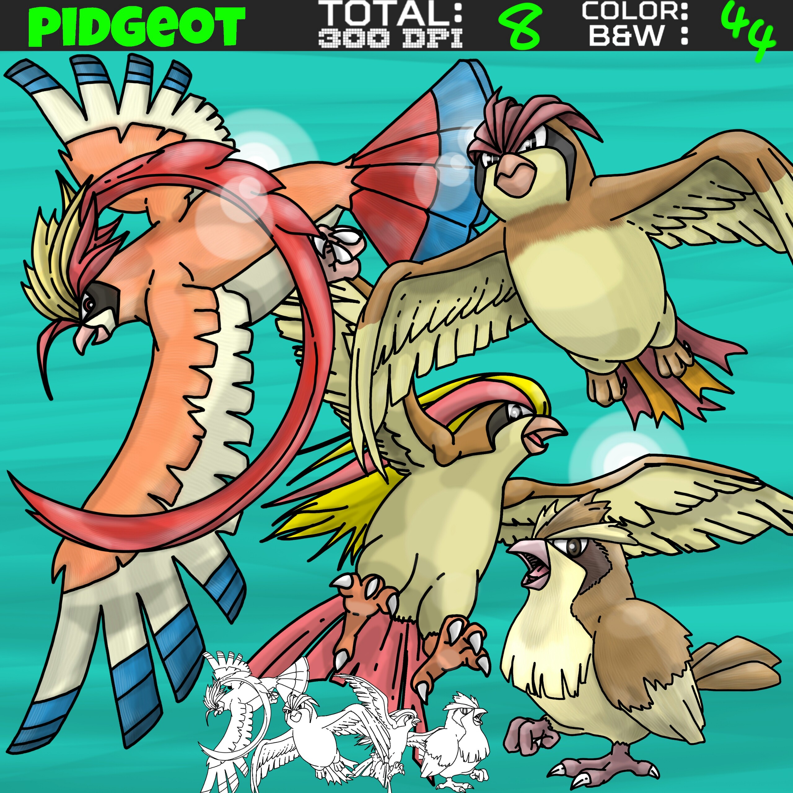 Pokemon clipart - Pidgey, Pidgeotto, Pidgeot, and Mega Pidgeot