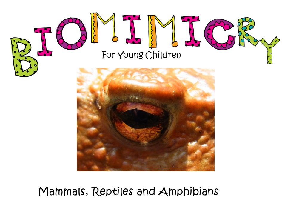STEM - Biomimicry for Young Children - Mammals, Reptiles & Amphibians