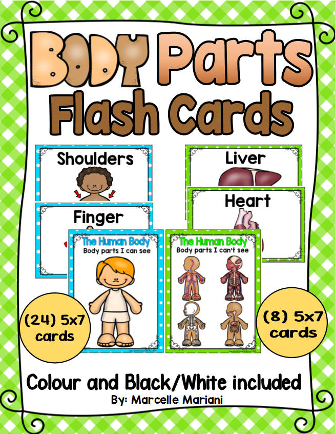 BODY PARTS- Flash Card and Teaching Visuals- Color + Black and white