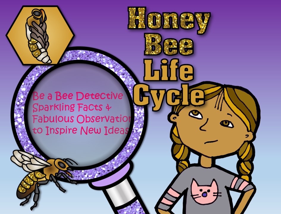 STEM - Be a Bee Detective - Life Cycle, Biomimicry, Inspiration for Ideas