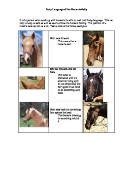 Ears of the Horse Activity