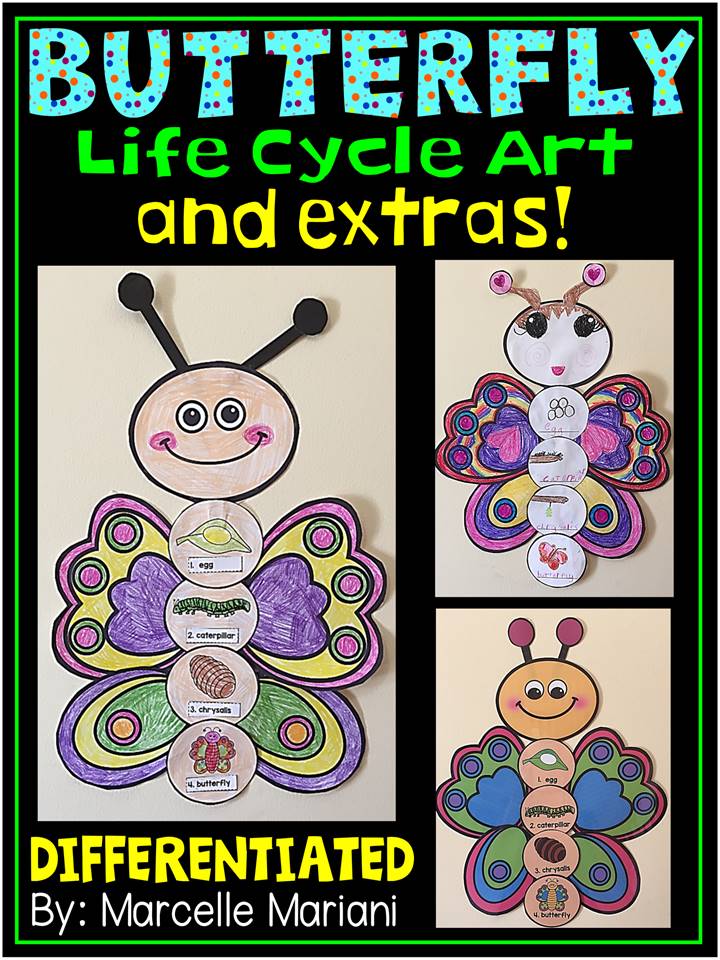 BUTTERFLY LIFE CYCLE ART ACTIVITY