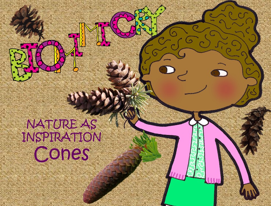 STEM - Biomimicry for Young Children - Cones