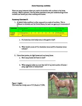 Horse Numeracy Activities
