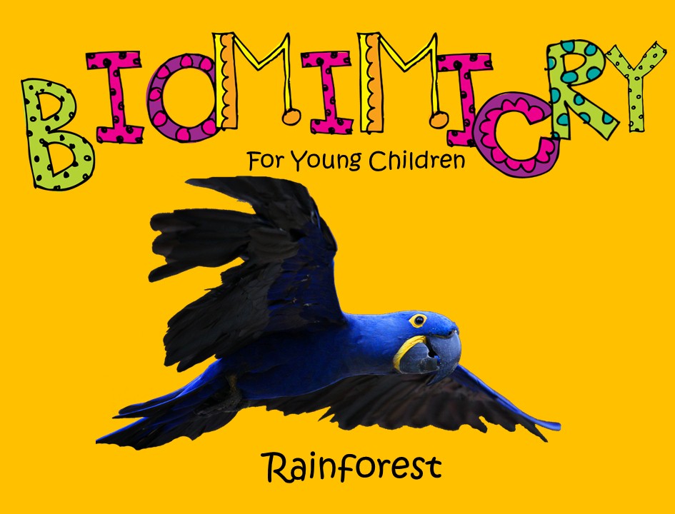 STEM - Biomimicry for Young Children - Rainforest