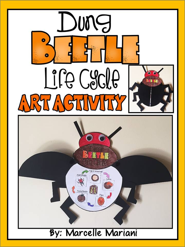 INSECTS-Dung BEETLE-LIFE CYCLE ART ACTIVITY